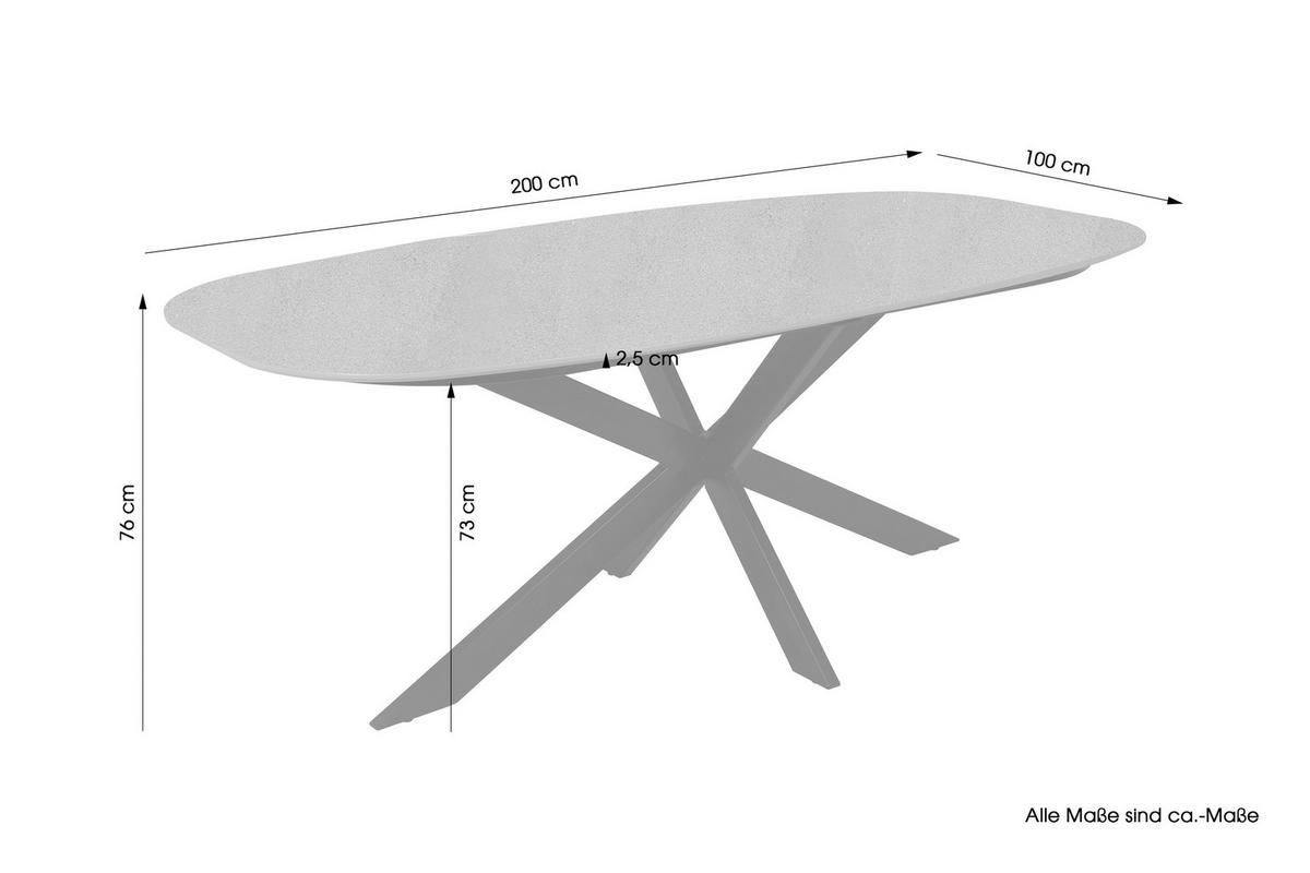 Esstisch Oval B: 200 Cm, Grau, Schwarz - Schwarz/Grau, Design, Holzwerkstoff/Metall (200/100/76cm) - MID.YOU