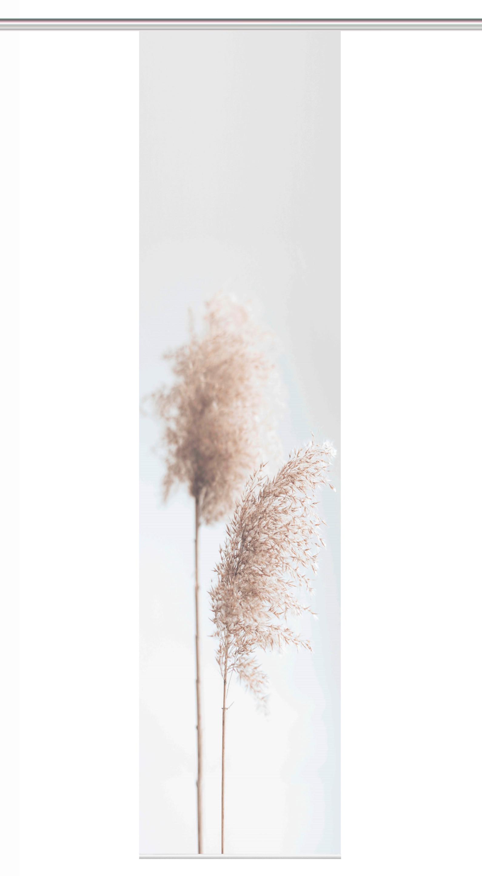 Flächenvorhang Irlos - Sandfarben, Natur, Textil (60/260cm)