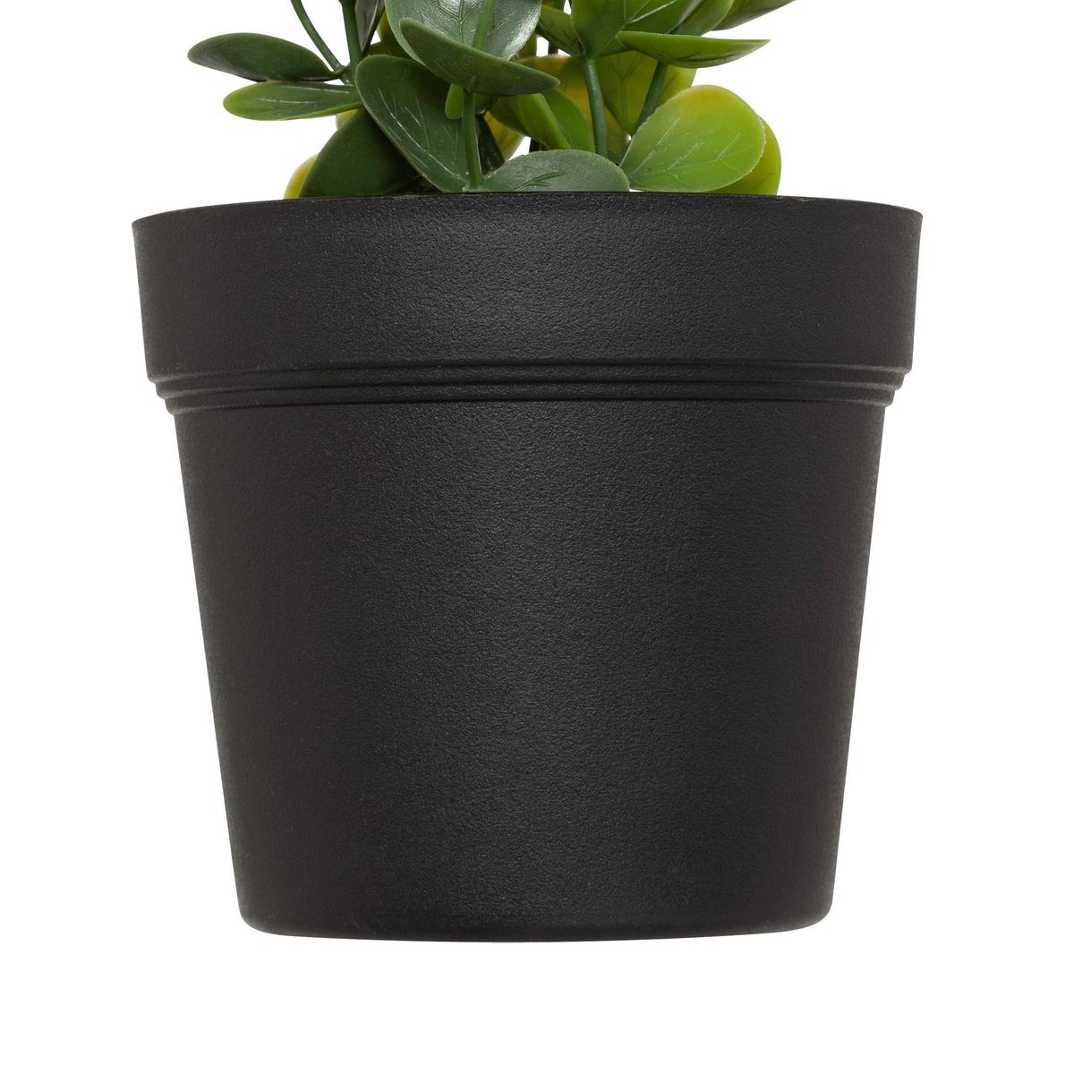 Umelá rastlina EUKALYPTUS - čierna/zelená, Basics, plast (18/51/13cm) - Mömax