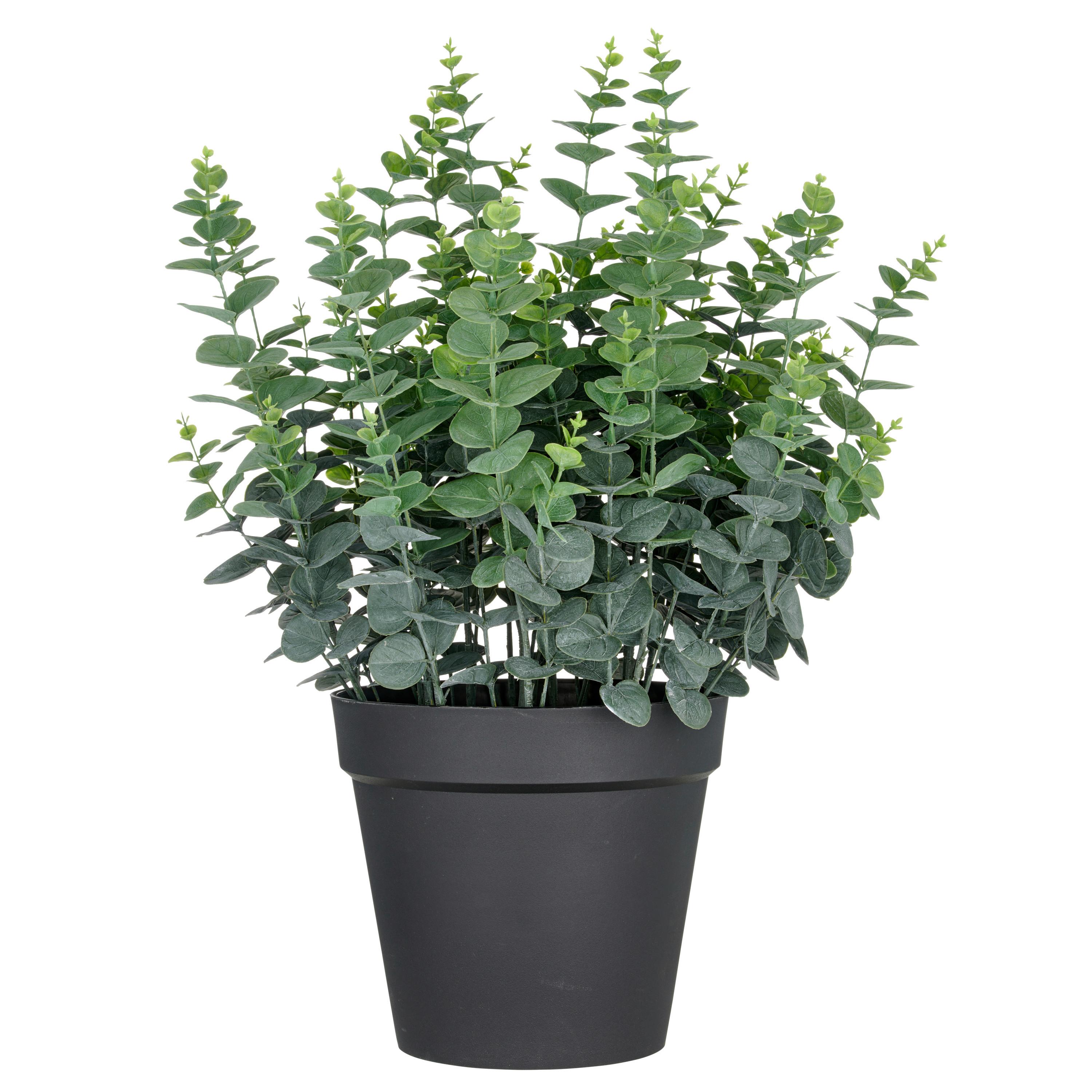 Kunstpflanze Grün Schwarz B: 28,5 Cm - Schwarz/Grün, Basics, Kunststoff (70cm) - P & B