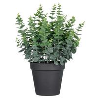 Kunstpflanze Grün Schwarz B: 28,5 cm - Schwarz/Grün, Basics, Kunststoff (70cm) - P & B