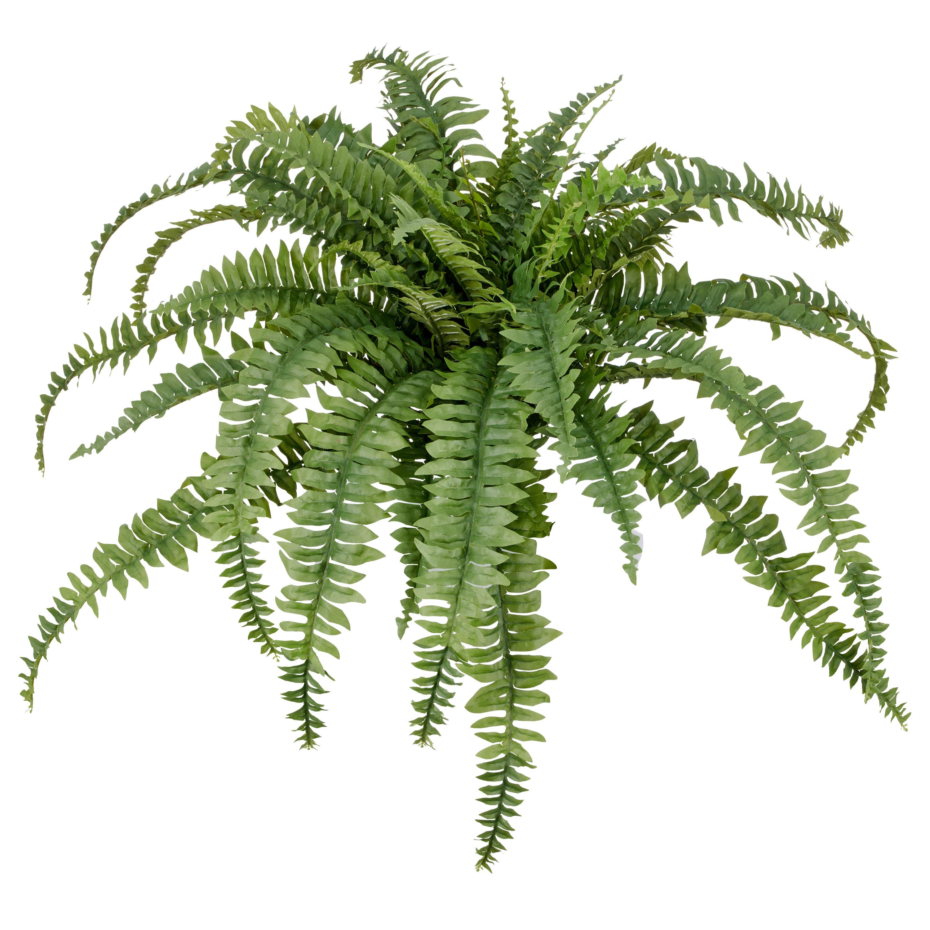 Kunstpflanze Bostonfarn Kunststoff, Grün, D: 100 cm - Grün, Basics, Kunststoff (100cm) - P & B