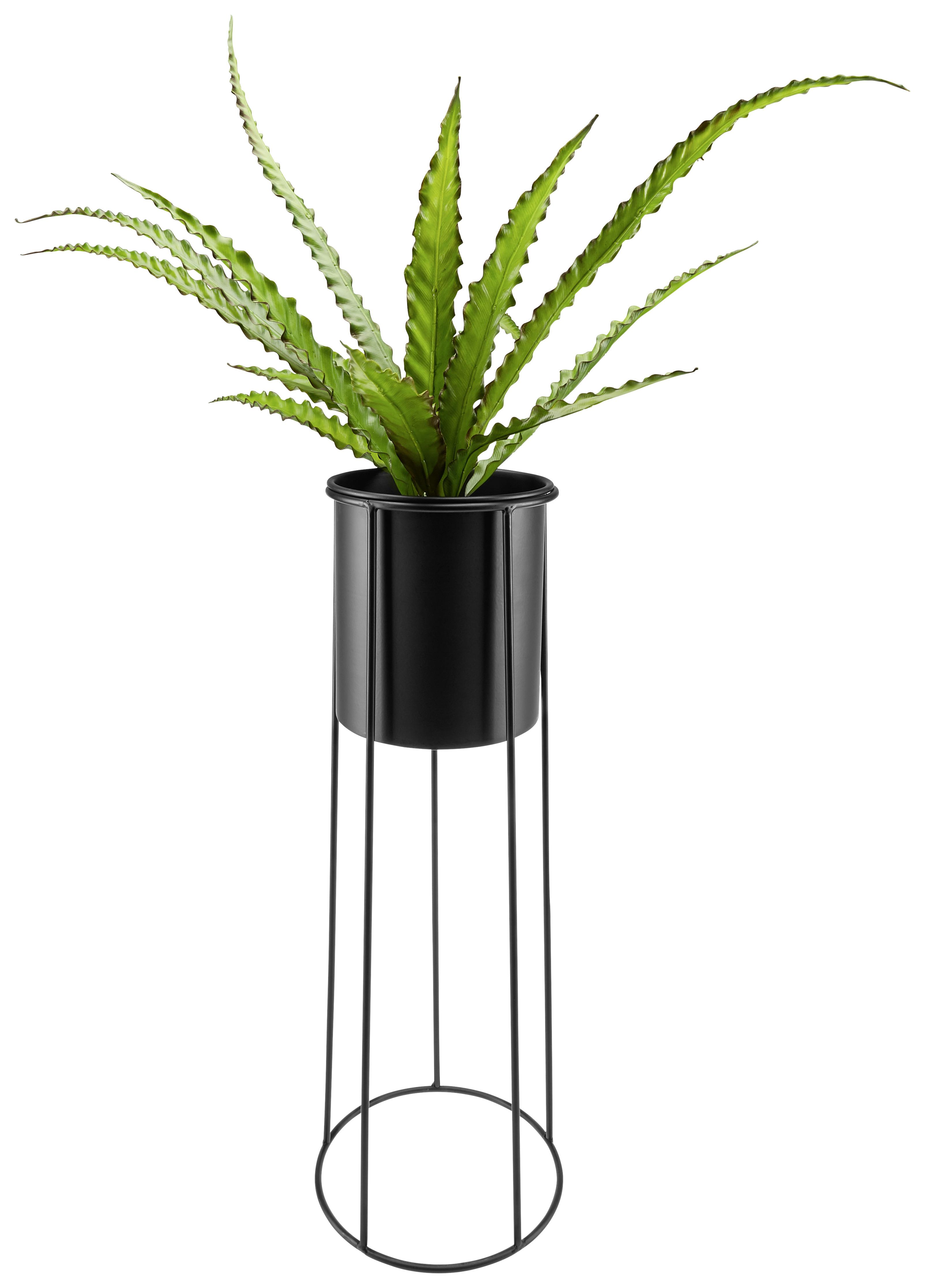 Übertopf Rachele Eisen In- & Outdoor Ø 23 cm Schwarz - Schwarz, MODERN, Metall (23/65,5cm) - Luca Bessoni