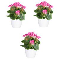 Kunstpflanze Blühpflanzen Pink/Grün/Weiß, 24 cm - Pink/Weiß, Design, Keramik/Kunststoff (24cm)