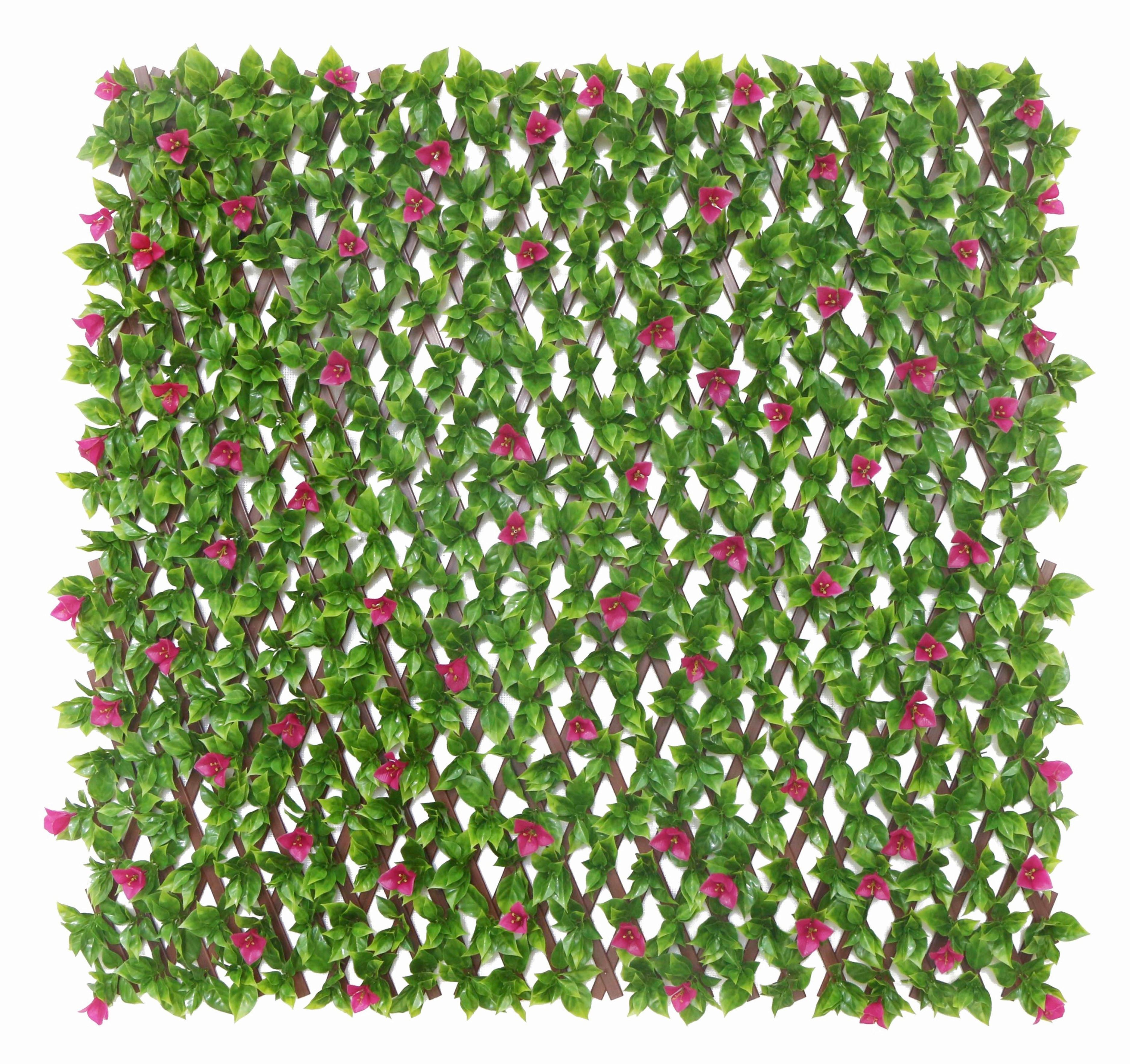 Sichtschutzhecke Elroy - Pink/Walnussfarben, KONVENTIONELL, Kunststoff (200/100cm) - Luca Bessoni