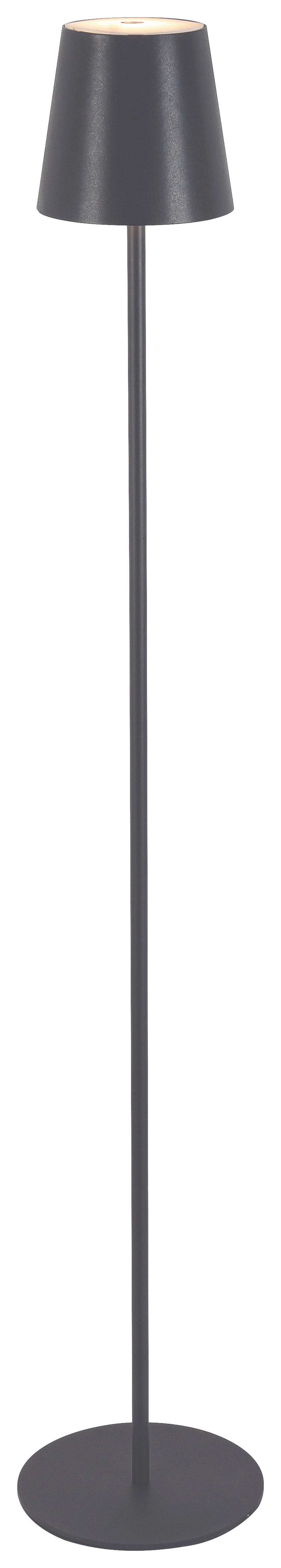 VONKAJŠIE LED SVIETIDLO AUSI - antracitová, Modern, kov/plast (22/130cm) - Modern Living