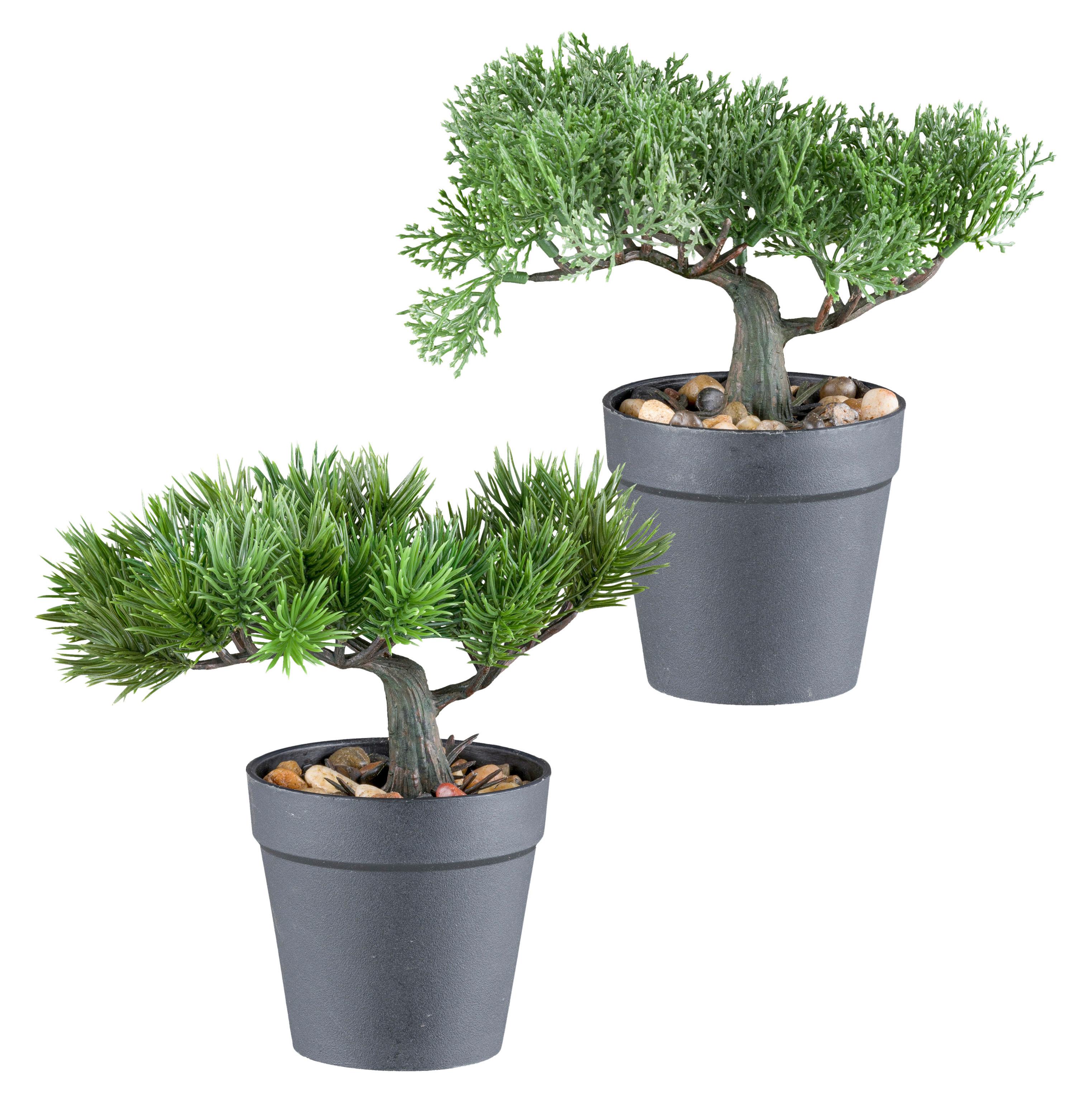 Kunstpflanze Braun/Grün/Schwarz, 18 cm - Schwarz/Braun, Design, Kunststoff (18cm) - P & B