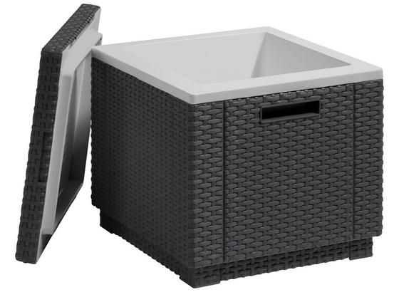 Kühlbox Cube - Graphitfarben, MODERN, Kunststoff (42/41/42cm) - Allibert Kühlbox Cube - Graphitfarben, MODERN, Kunststoff (42/41/42cm) - Allibert