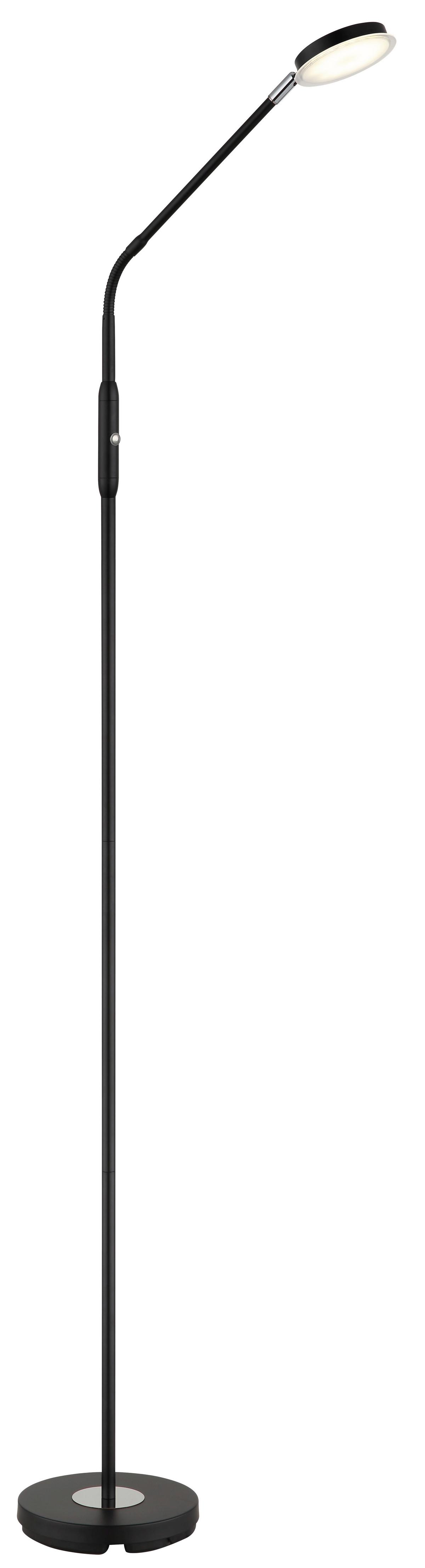 STOJACÍ LED LAMPA SILVIO - černá/čiré, Design, kov/plast (52/20/173cm)