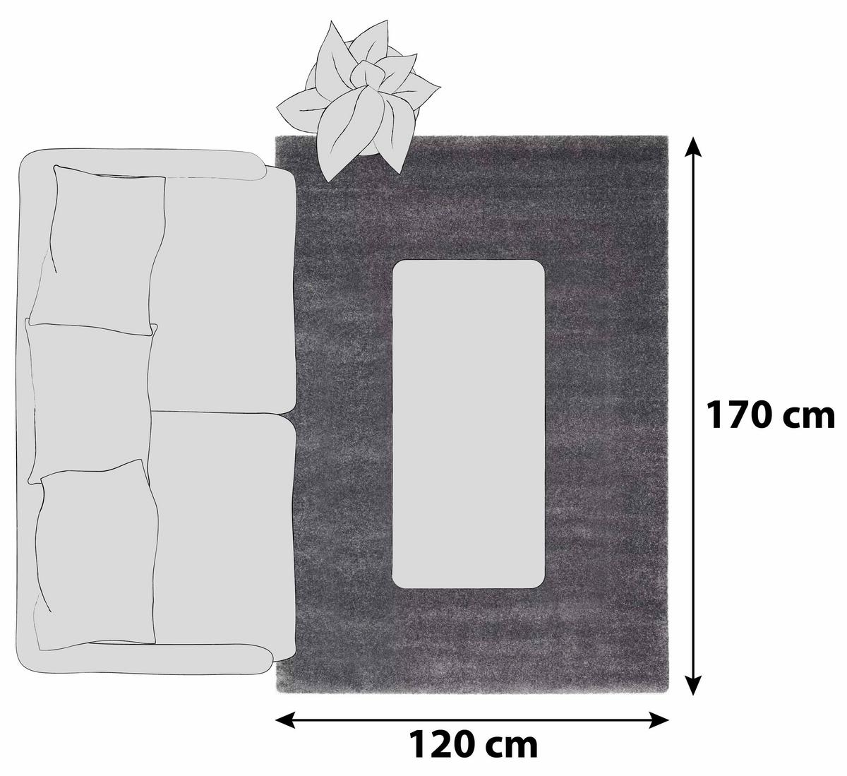 Hochflorteppich Dunkelgrau Bellevue 120x170 cm - Dunkelgrau, Basics, Textil (120/170cm) - Novel