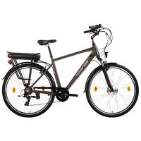 Elektrofahrrad Hollandia Zagon Grau - Grau, Basics, Metall (21/116/188cm) - KS Cycling
