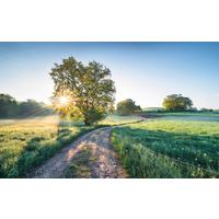 Vliestapete Sh084-Vd4 New Day In Paradise - Natur (400/250cm)