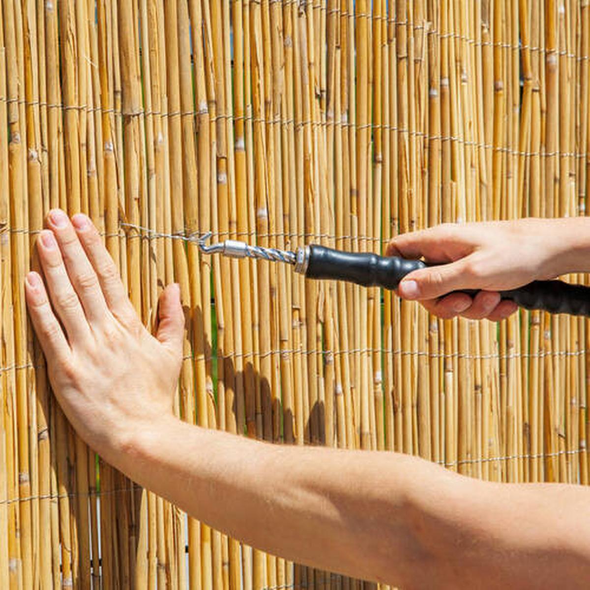 Sichtschutz Nantai Natur Schilf 600x100 cm - Naturfarben, Basics, Naturmaterialien (600/100cm)