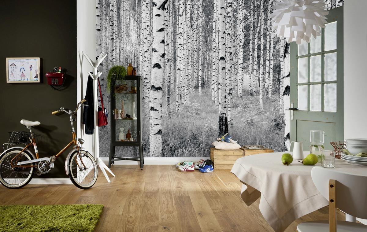 Vliestapete Bäume - Schwarz/Weiß, Natur, Papier (368/248cm)