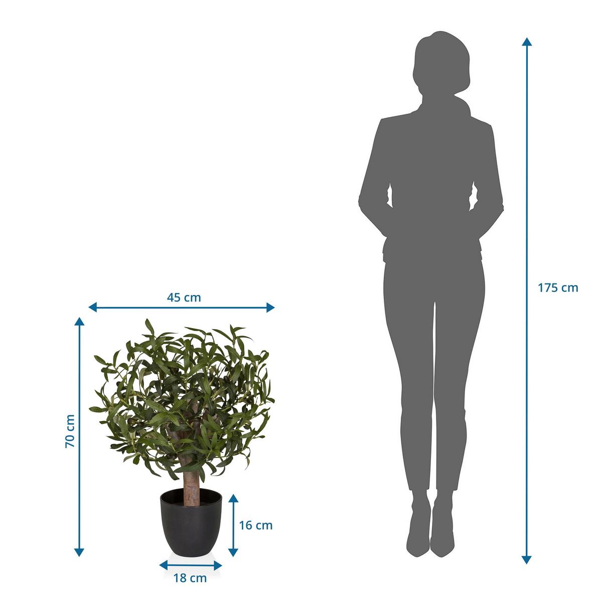KUNSTPFLANZE Olive Grün B: 45cm - Schwarz/Braun, MODERN, Kunststoff (45/70/45cm) - MID.YOU