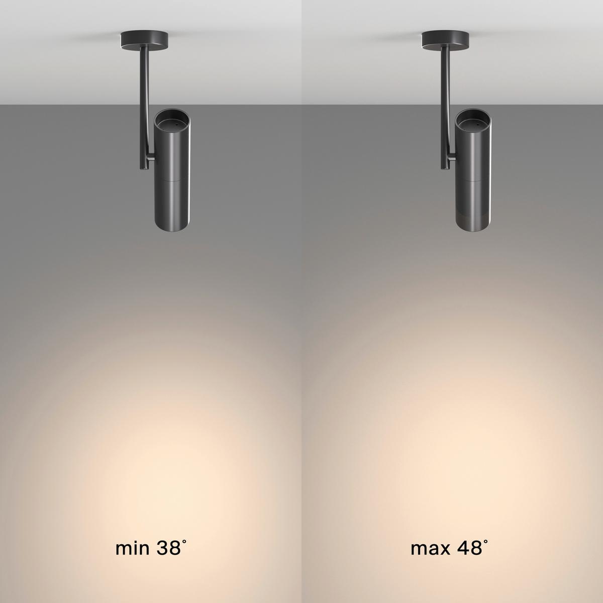 Deckenleuchte Elti - Schwarz, Basics, Metall (7/28/20cm) - MAYTONI