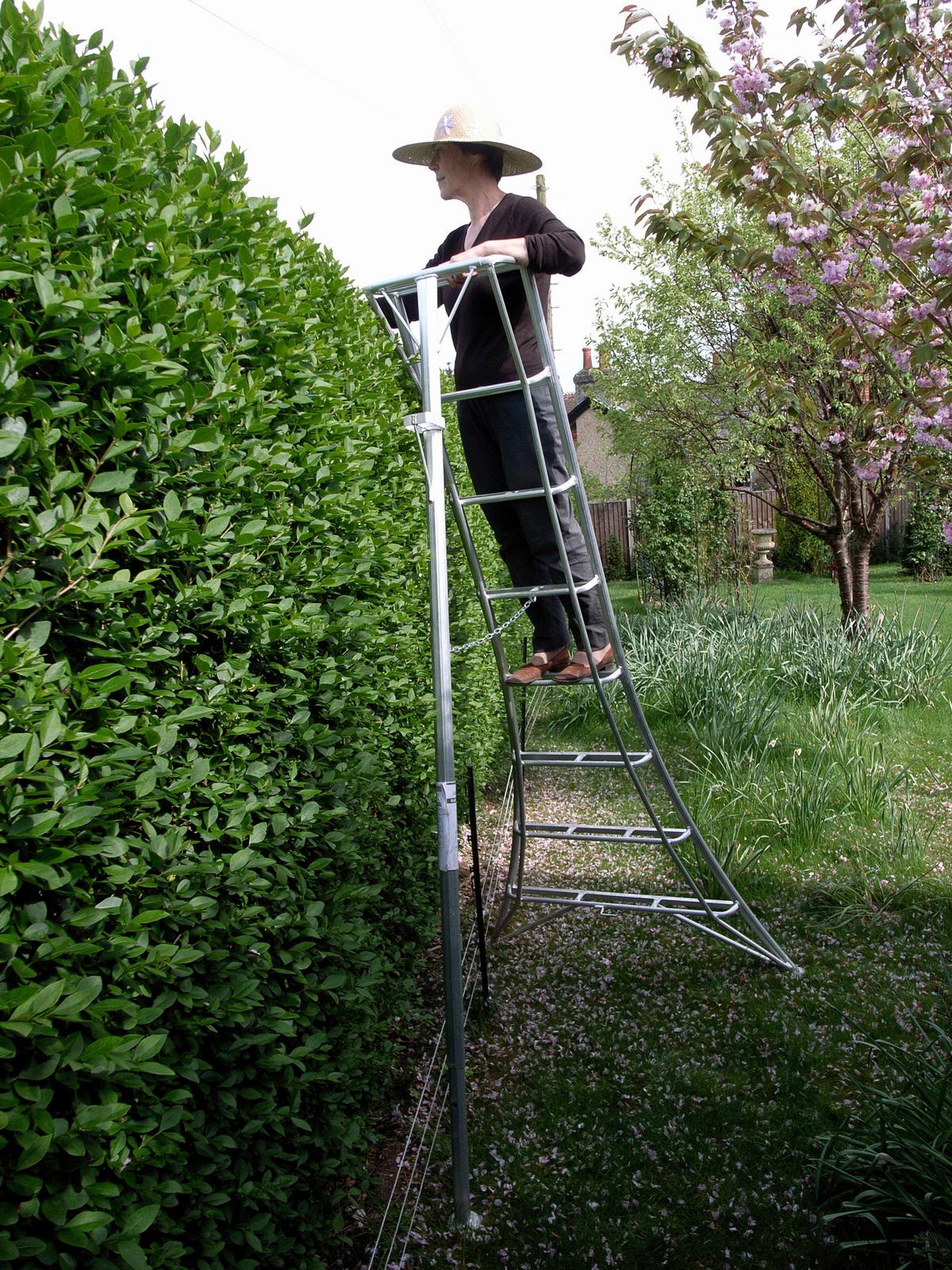 Leiter 3-Holm-Gartenleiter 240cm - Silberfarben, Basics, Metall (125/240/20cm)