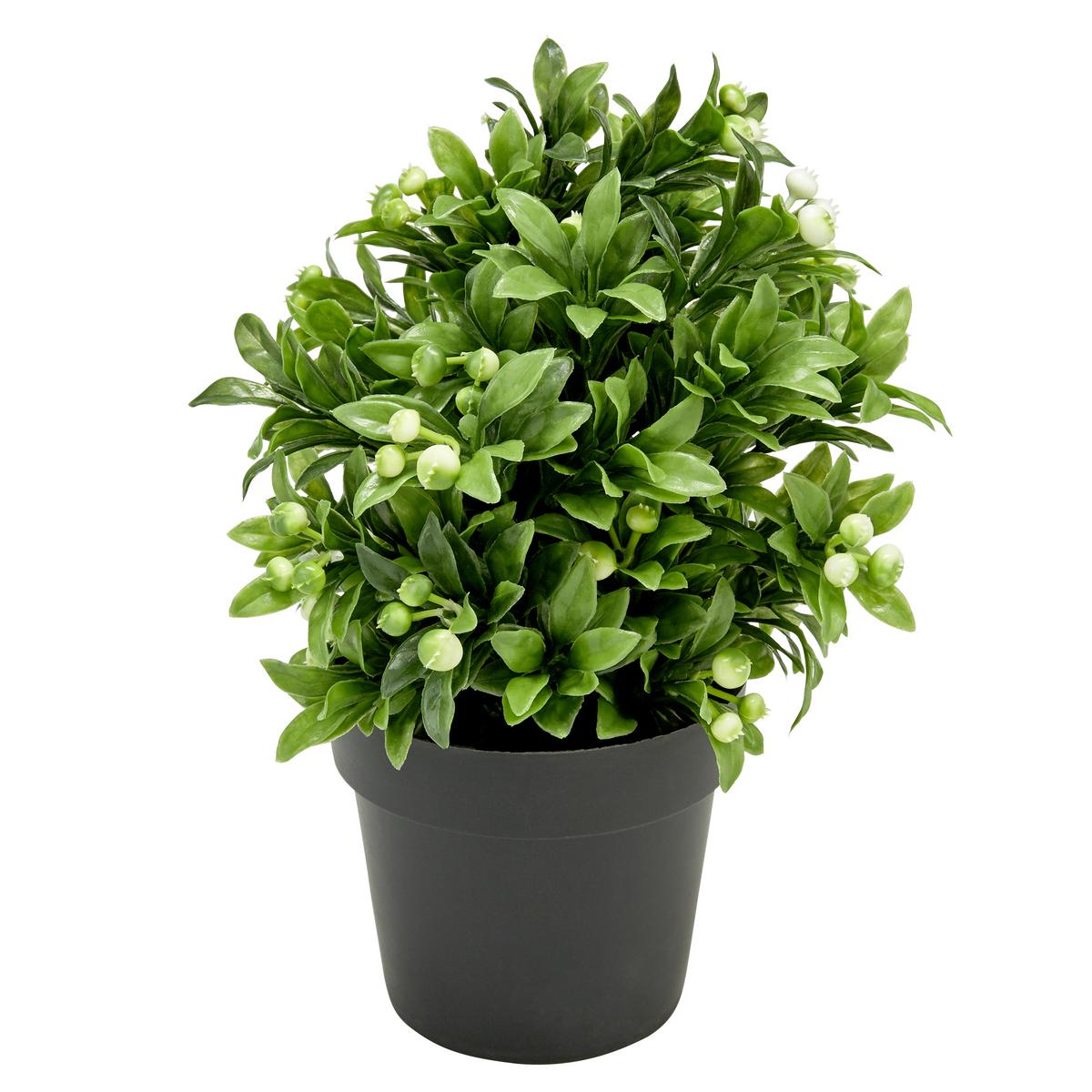 Kunstpflanze Weiß/Grün H: 23 cm Im Topf, Cassandra - Schwarz/Weiß, Basics, Kunststoff (15/23cm) - Luca Bessoni