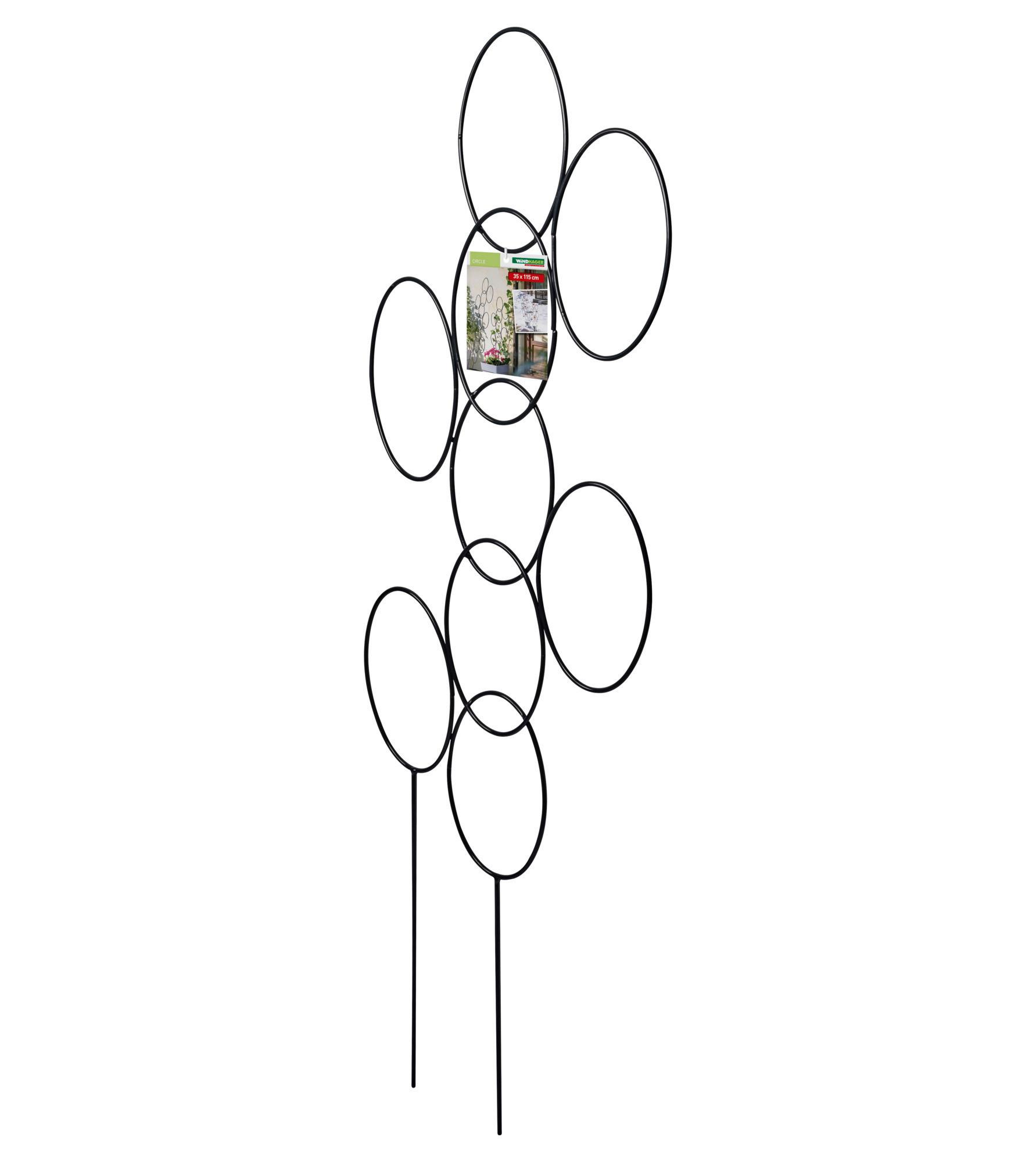 Rankgitter Circle Anthrazit - Anthrazit, Basics, Metall (35/115cm)