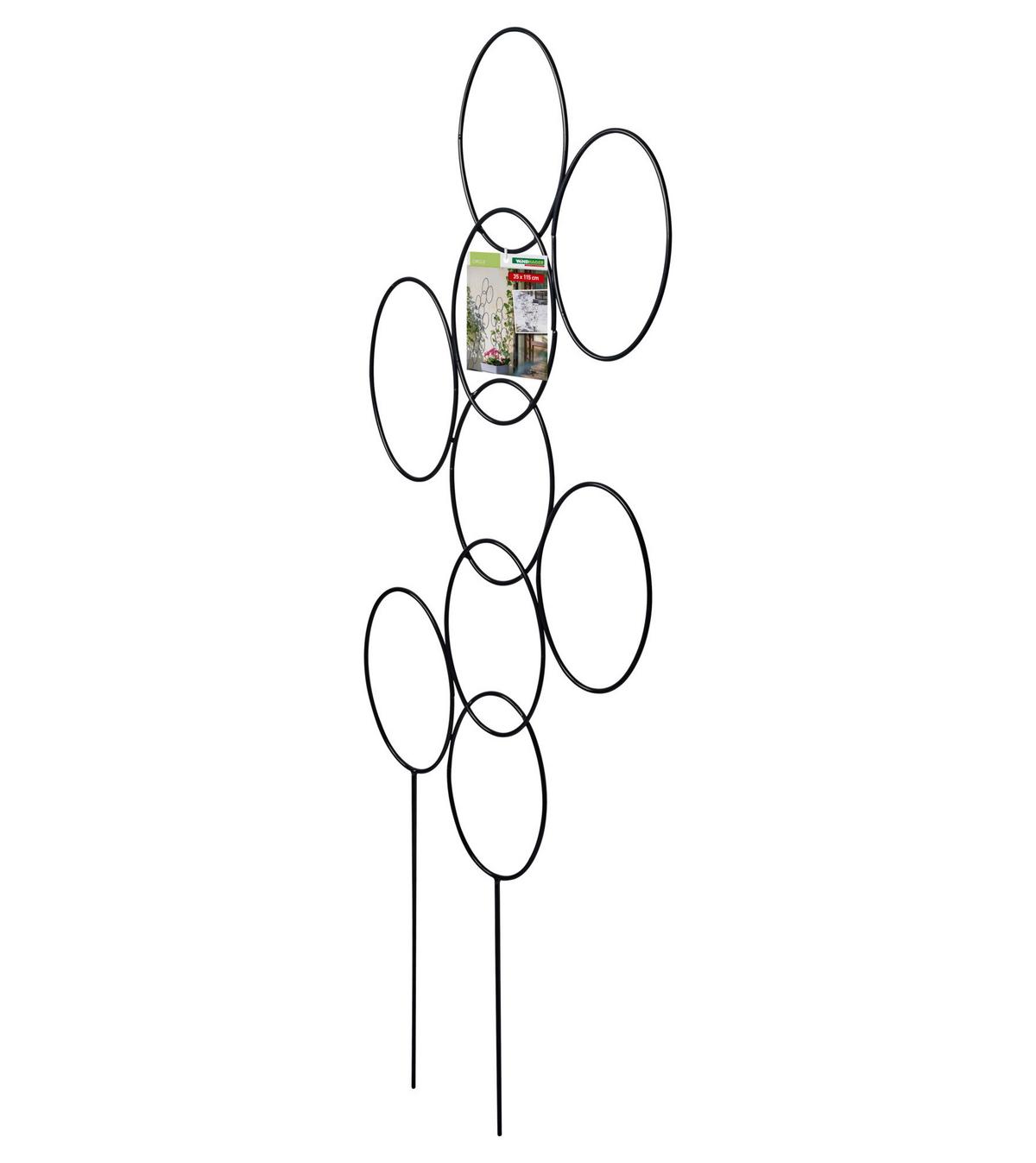 Rankgitter Circle Anthrazit - Anthrazit, Basics, Metall (35/115cm)