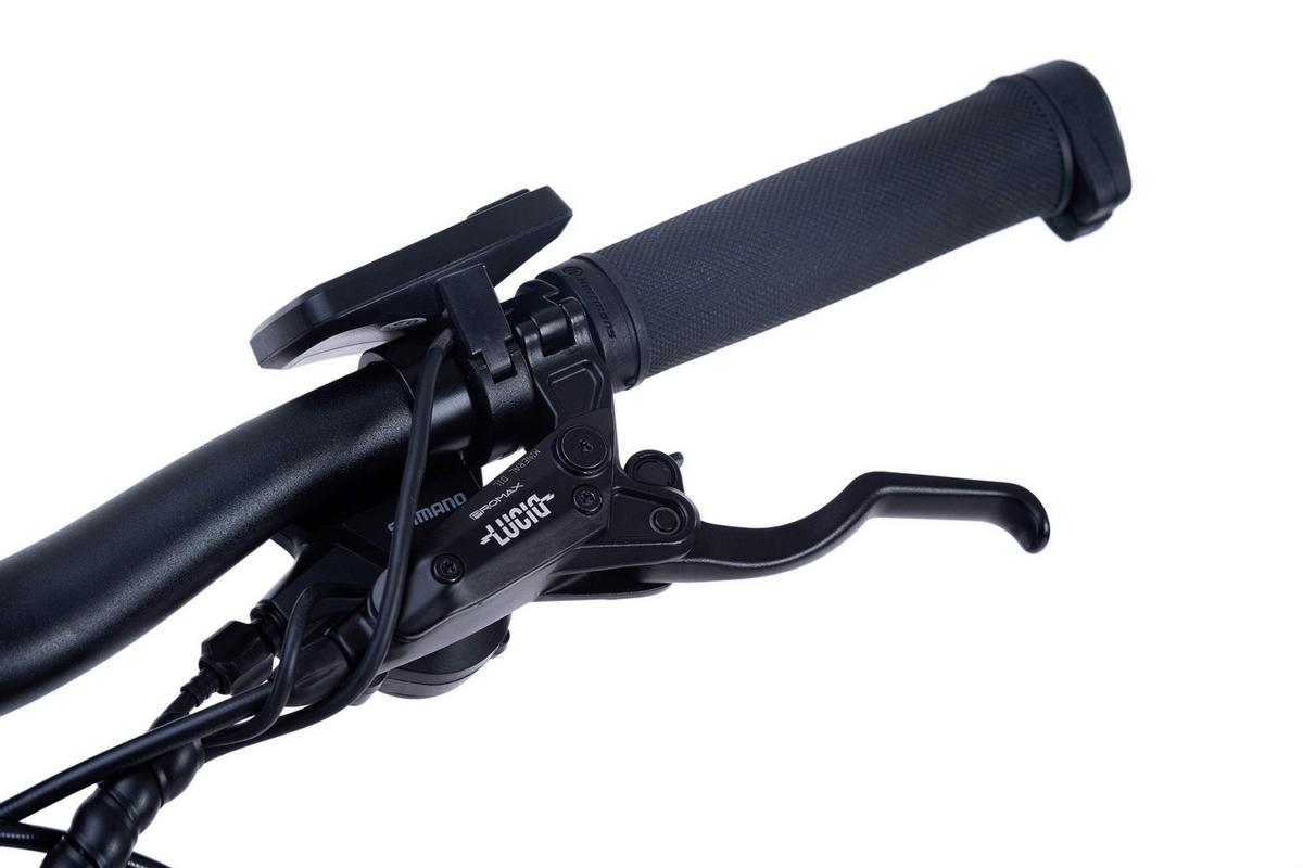 Elektrofahrrad 29 Zoll, 120 Km - Blau, Basics, Metall (180/70/100cm)