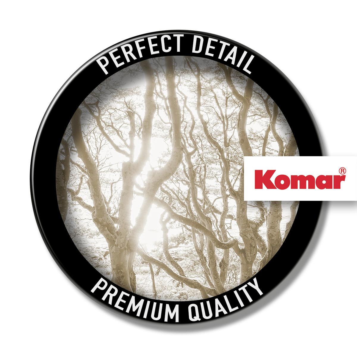 Vliestapete Bleached Birch - Braun/Weiß, Basics (400/250cm) - Komar