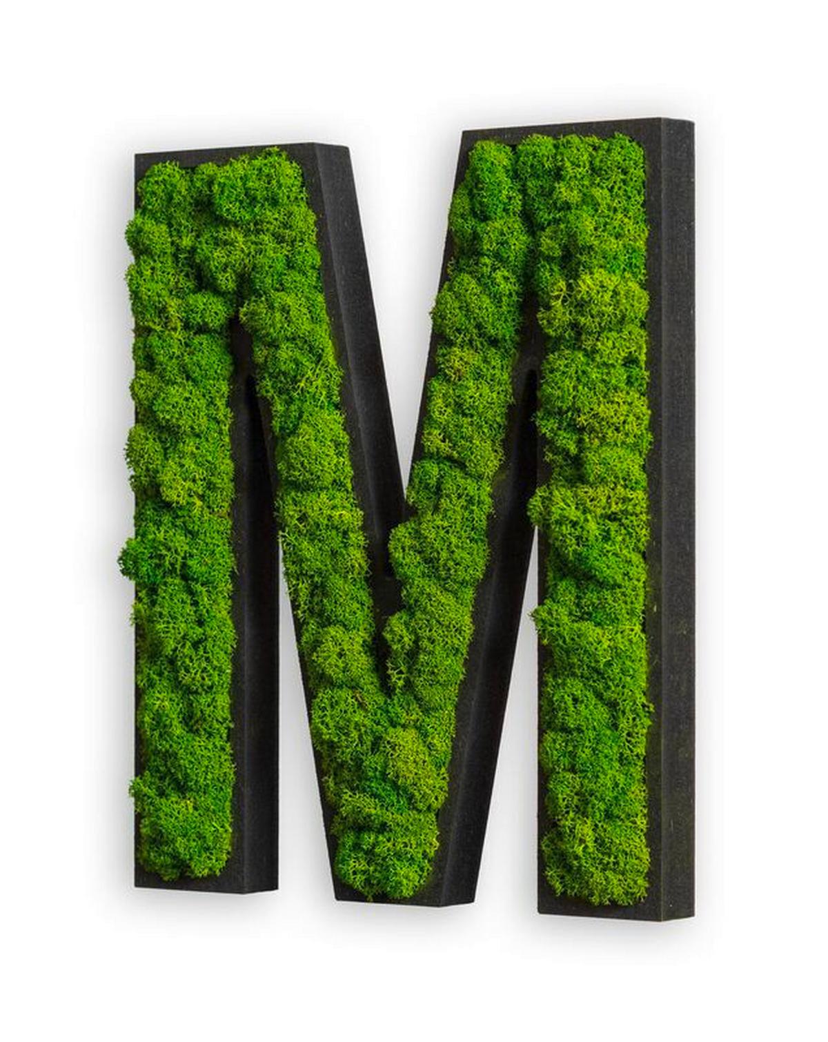 Moosbild Grün B: 25 cm - Schwarz/Grün, Basics, Naturmaterialien/Holz (25/21/4cm)