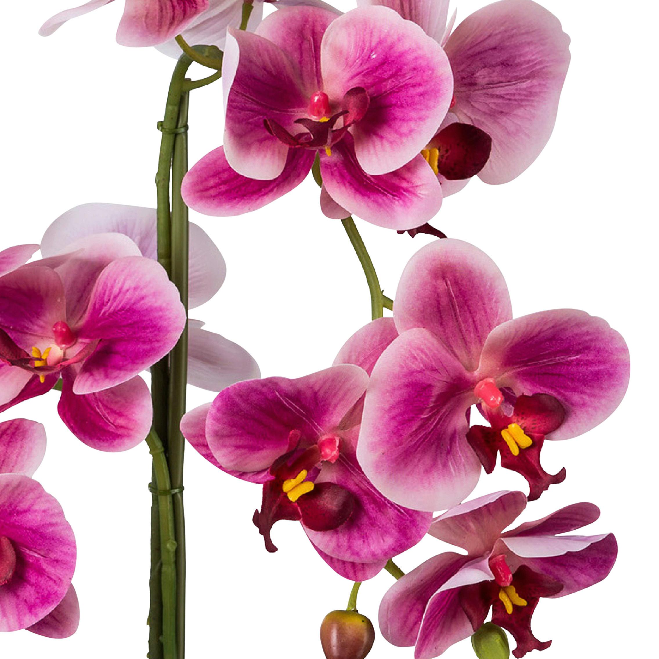 Kunstpflanze Orchideen Dunkelrosa, inkl.topf, H:52 cm - Dunkelrosa/Schwarz, Design, Keramik/Kunststoff (52cm) - P & B