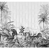 Fototapete Lion King Monochrome - Schwarz/Weiß, Trend, Textil (300/280cm)