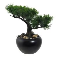Kunstpflanze, Bonsai Grün, H: 19 Cm - Schwarz/Grün, Design, Keramik/Kunststoff (19cm) - P & B