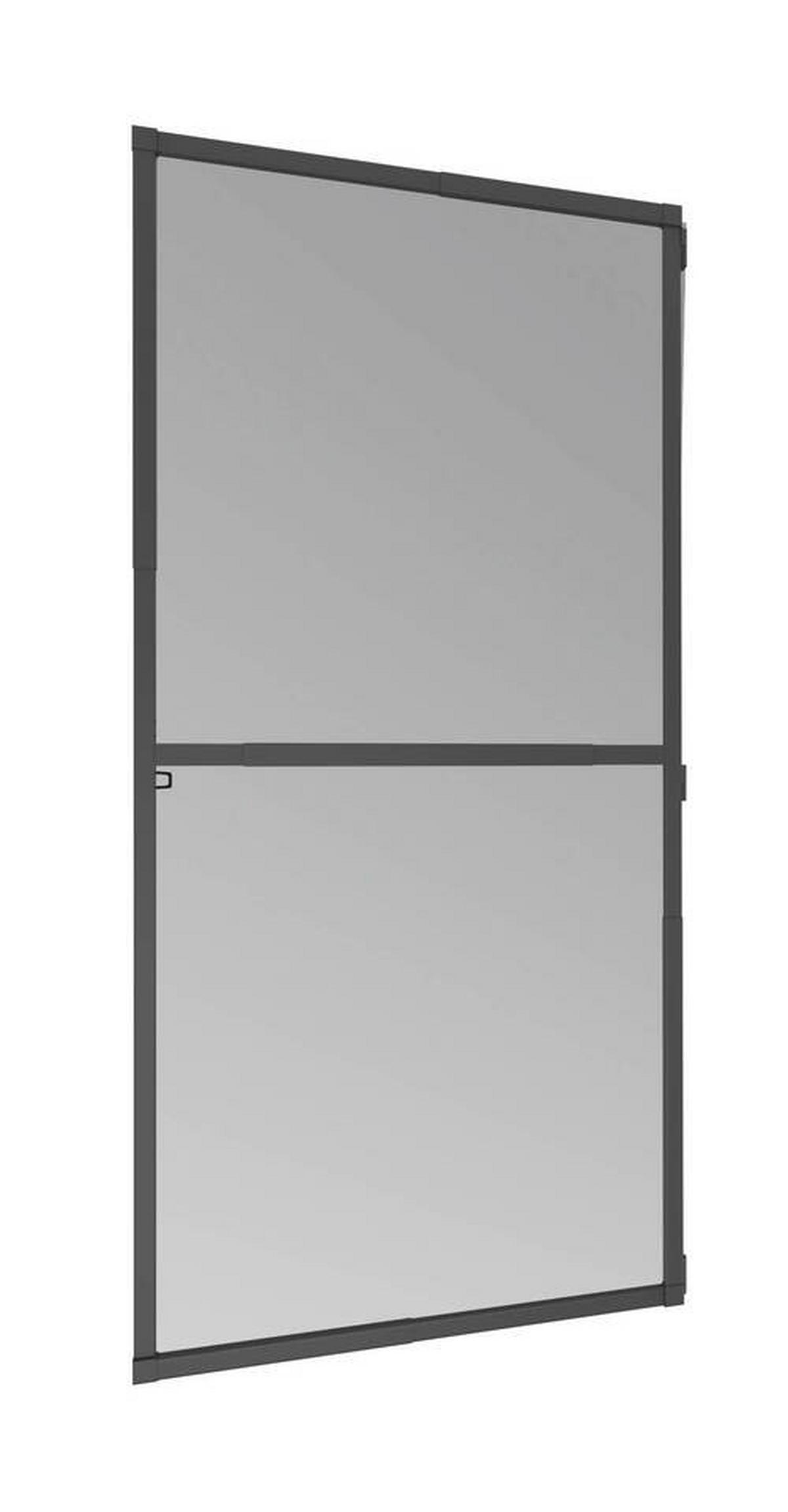 Fliegengitter Türe 100x210 cm Anthrazit - Anthrazit, Basics, Metall (100/210cm)