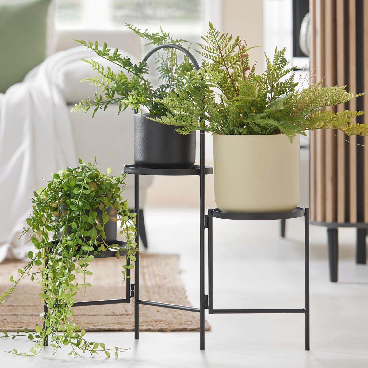 Umelá rastliny Dischidia, V: 60cm - zelená, Basics, plast (60cm)