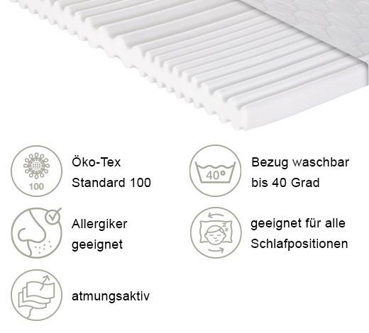 Kaltschaummatratze Caravan Matratze - Weiß, Basics, Kunststoff/Textil (100/200cm) - P & B