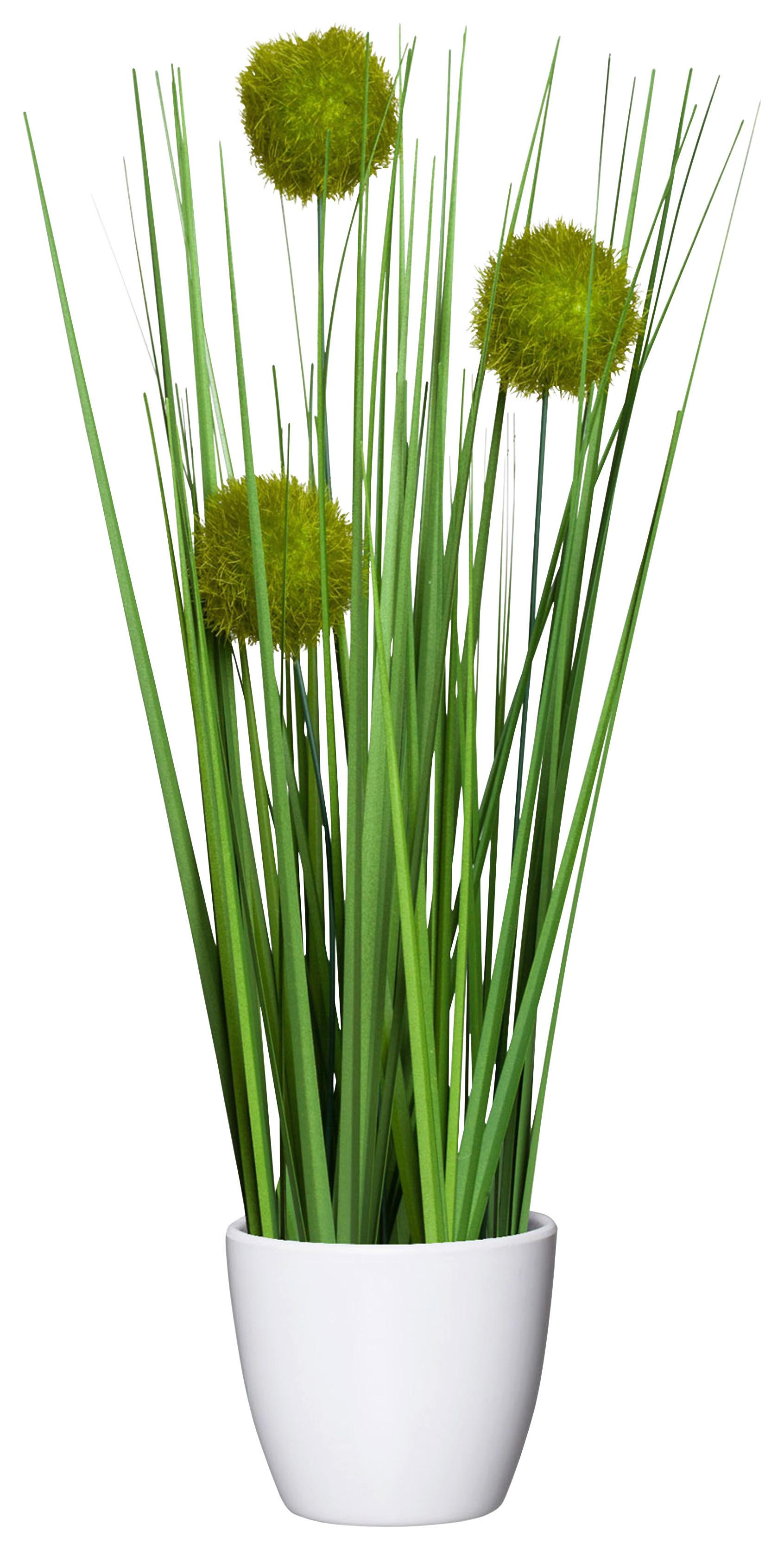 TRS TRÁVY JIMMY - zelená, Konventionell, plast (37cm) - Modern Living