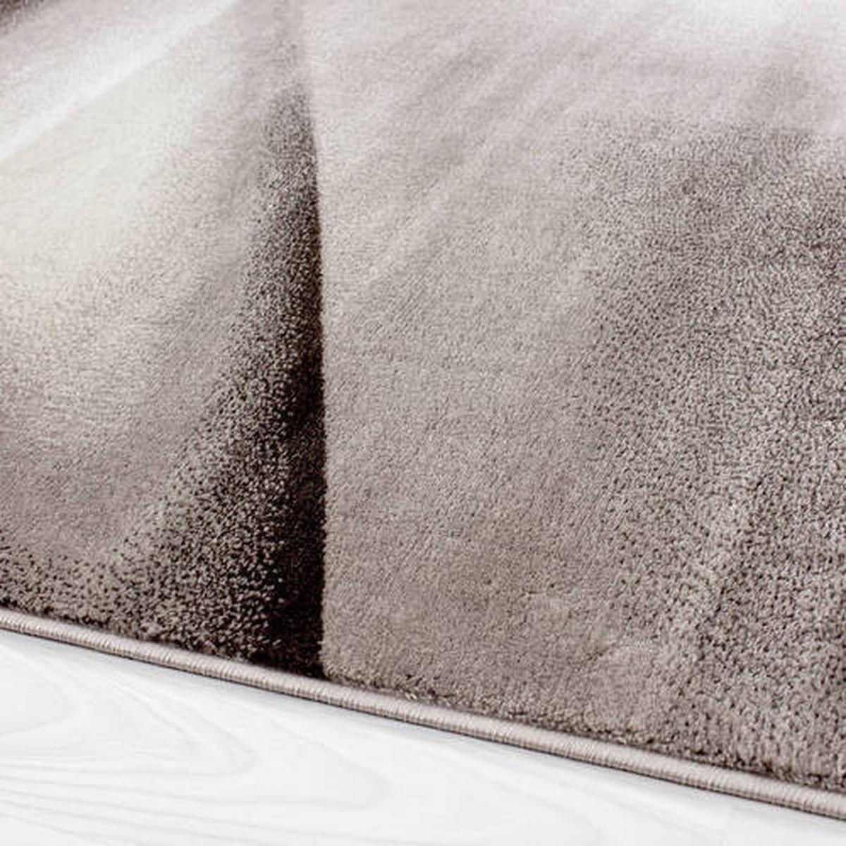 Flachwebteppich Miami - Braun, Design, Textil (240/340cm) - Novel