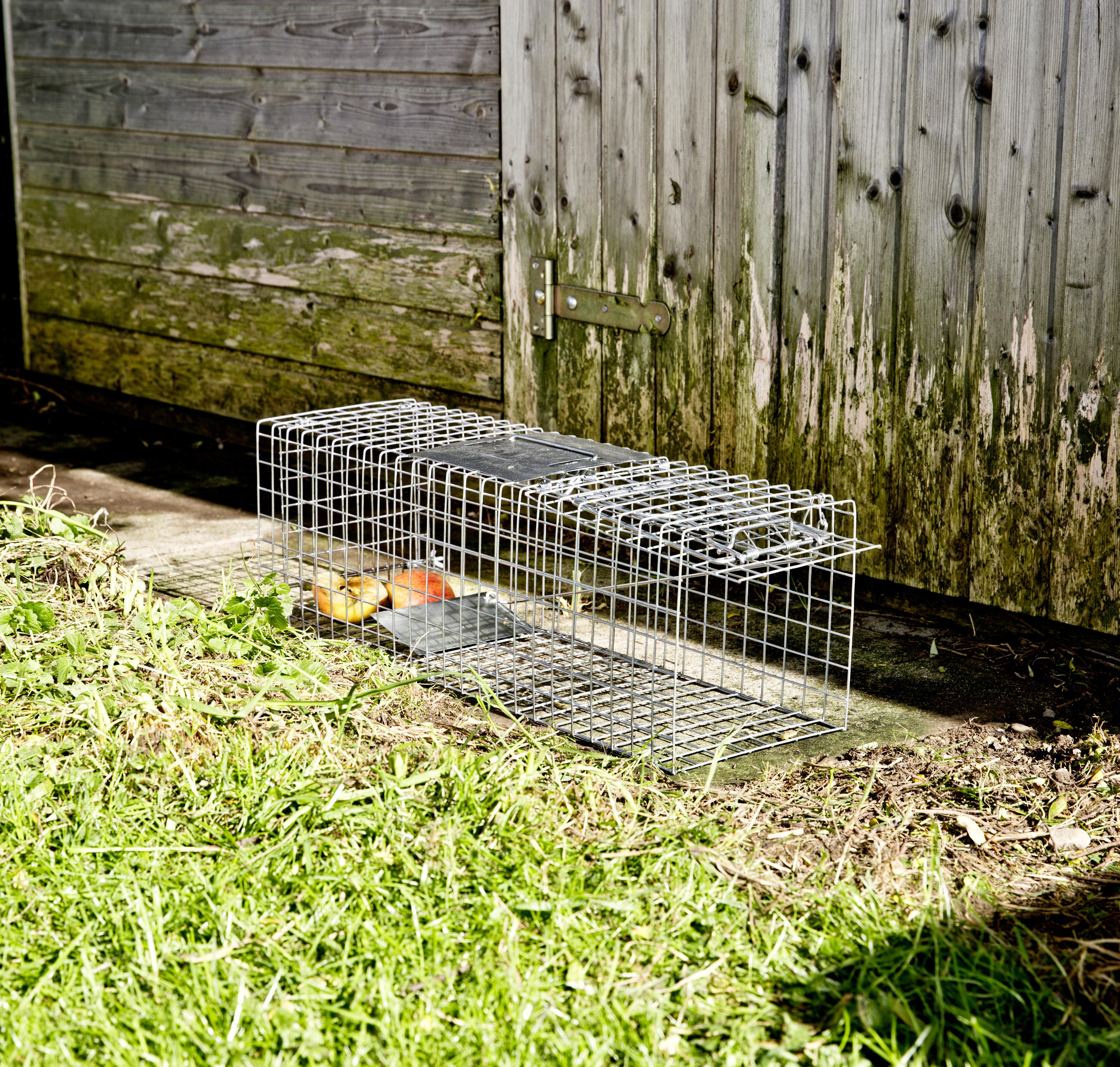 Windhager Maus- und Ratten-Box 2in1, Maus und Ra…