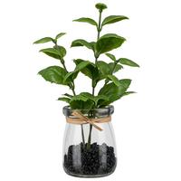 Umelá rastlina BASILIKUM II - hnedá/číra, Konventionell, plast/sklo (18cm) - Mömax