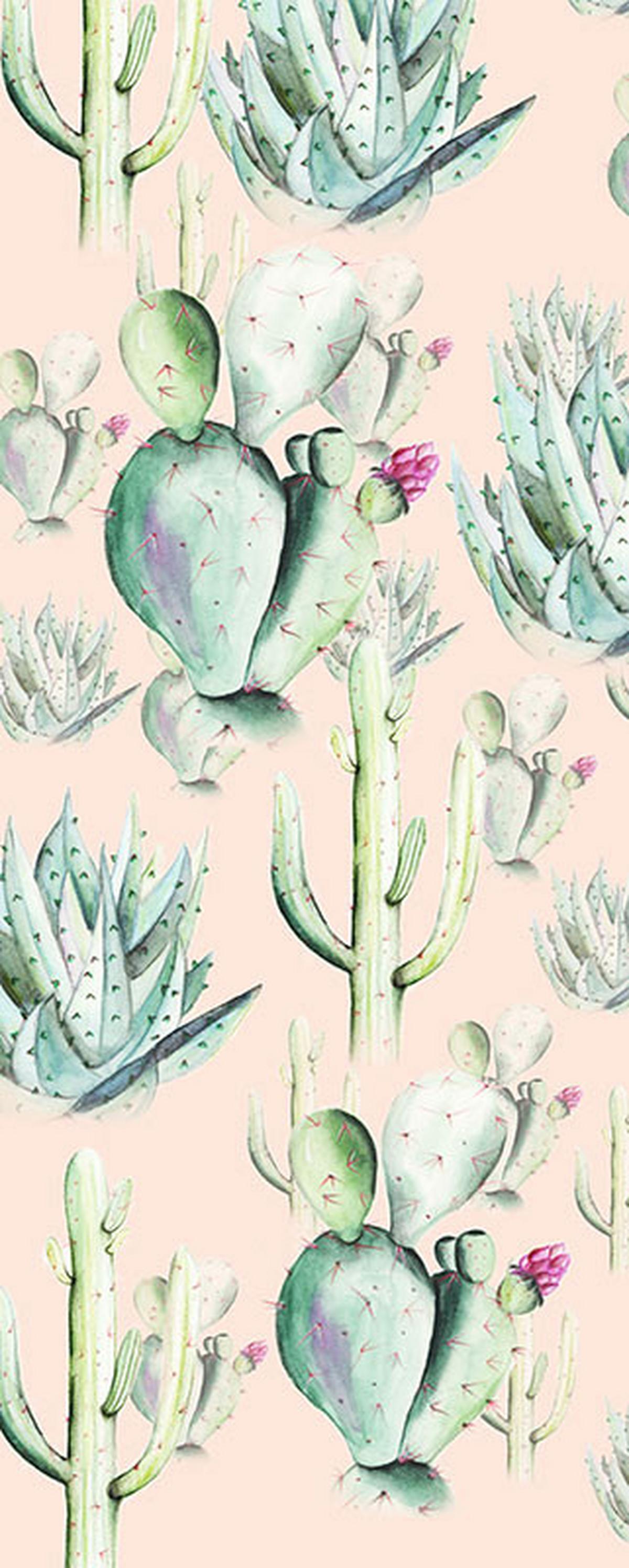 Vliestapete Cactus Rose Panel - Rosa/Grün, Basics (100/250cm) - Komar
