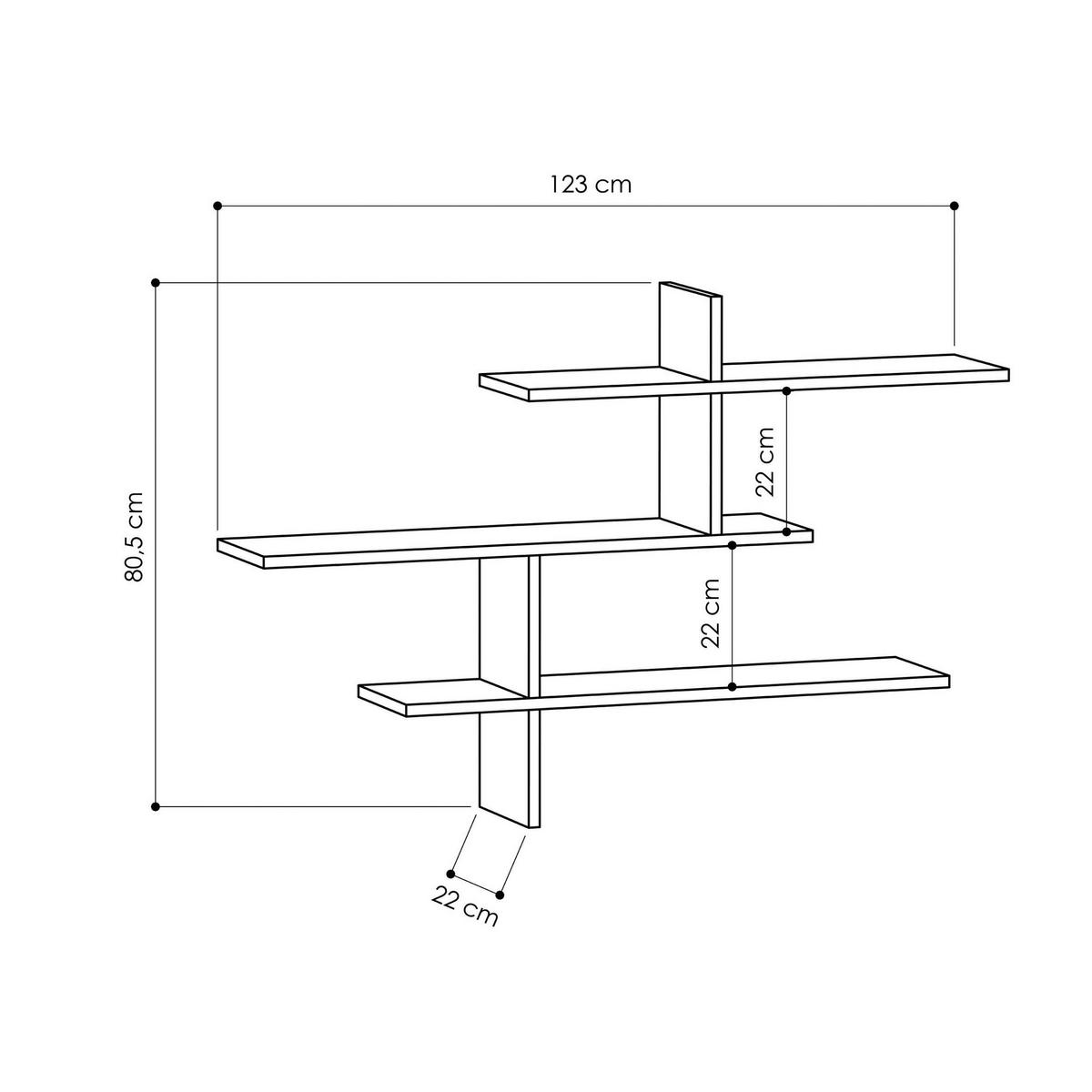 Wandregal Leo Regal - Anthrazit, Design, Holzwerkstoff (123/81/22cm) - Livetastic