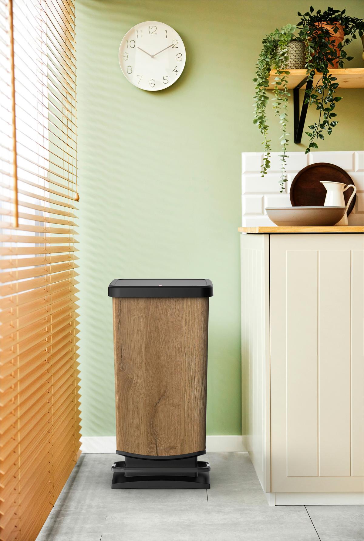 Abfalleimer B: 29,5 Cm 40 L - KONVENTIONELL (29,5/67,6/35,3cm) - Rotho