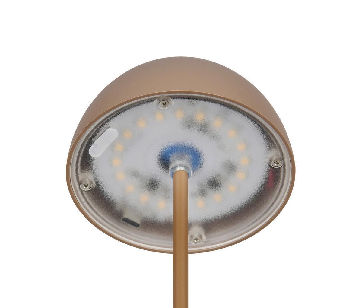 Akku-Tischleuchte Ortiz Cappuccino D: 9 cm - Cappuccino, Trend, Kunststoff (9/20cm)