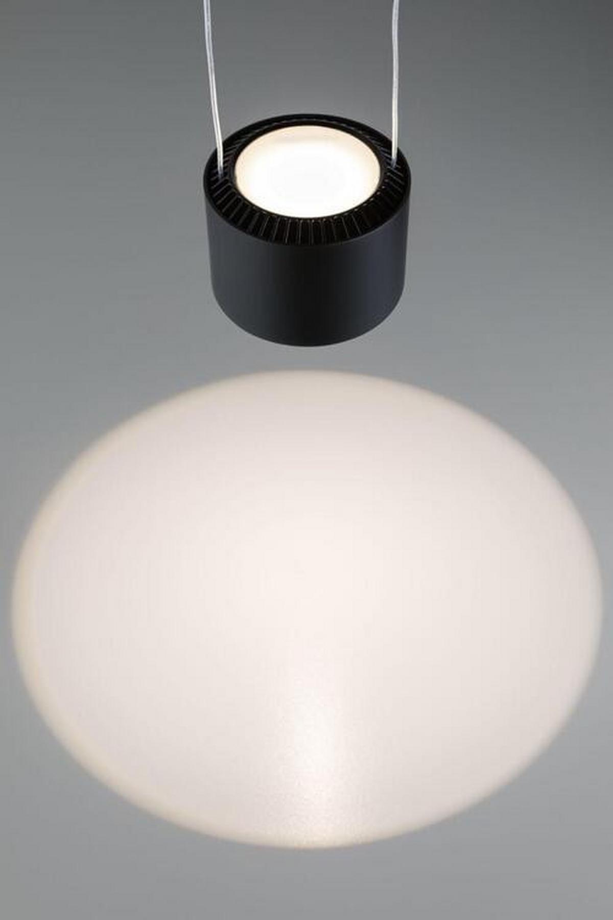 Schienensystem Urail Hängeleuchte 94972 Schwarz - Schwarz, Design, Metall (8,5cm) - Paulmann