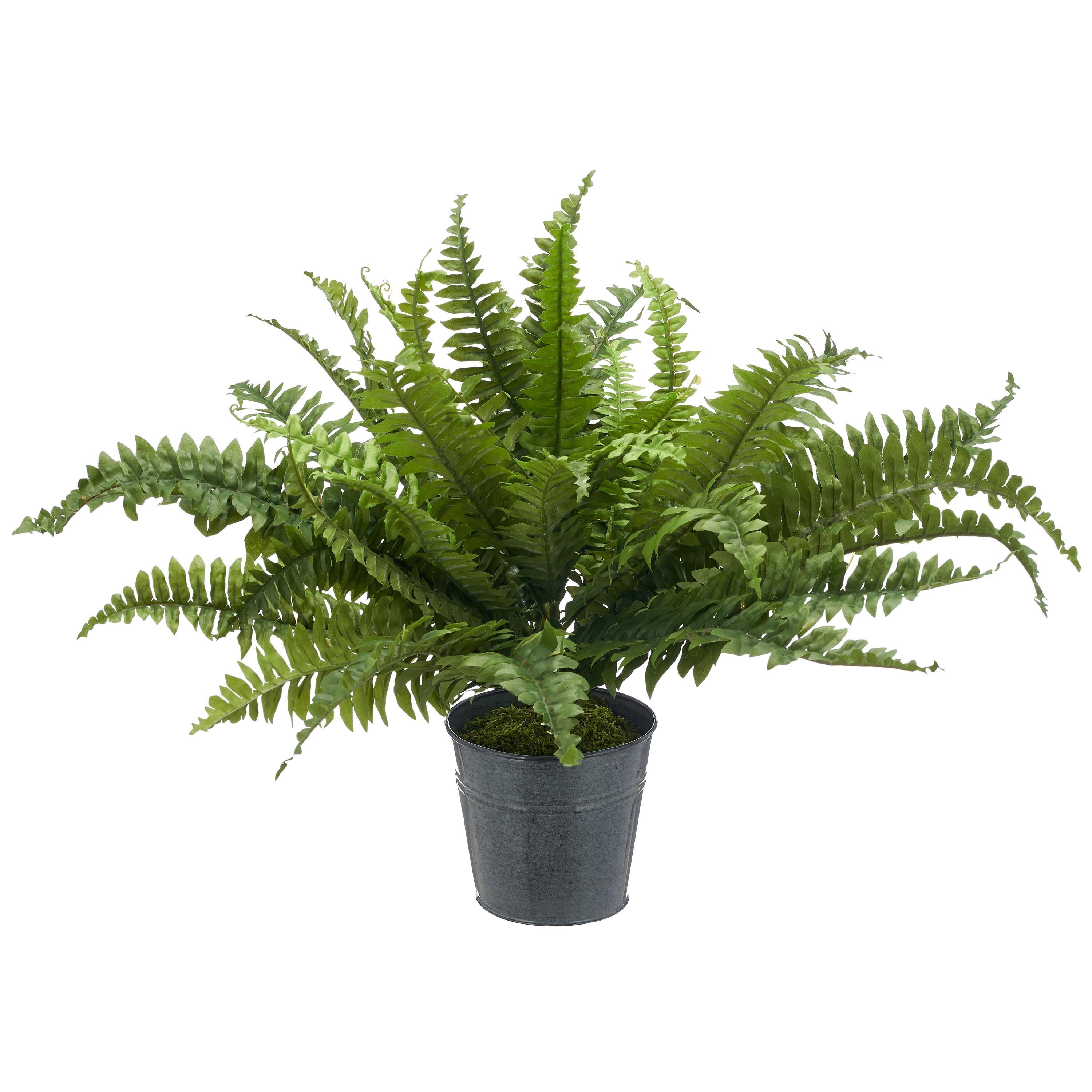 Kunstpflanze Bostenfarn Kunststoff, Grün, D: 70 cm - Zinkfarben/Grün, Basics, Kunststoff/Metall (70cm) - P & B