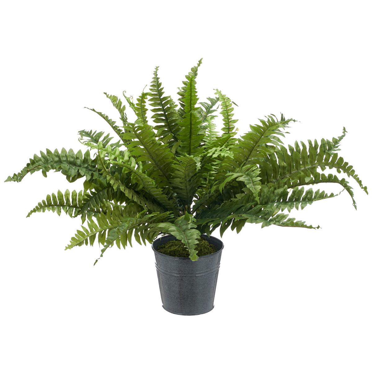 Kunstpflanze Bostenfarn Kunststoff, Grün, D: 70 cm - Zinkfarben/Grün, Basics, Kunststoff/Metall (70cm) - P & B