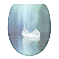 WC-Sitz blau mit Absenkautomatik, B: 37,5cm - Blau, KONVENTIONELL, Kunststoff (37,5/45,0/2,5cm)