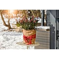 Winterschutz Vliesmatte,150x38 Cm - Naturfarben, Basics, Textil (38/150cm) - Windhager