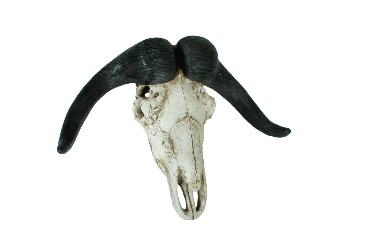 Geweih Braun Naturfarben B: 65,5 Cm - Braun/Naturfarben, Basics, Kunststoff (65,5/49/21cm)