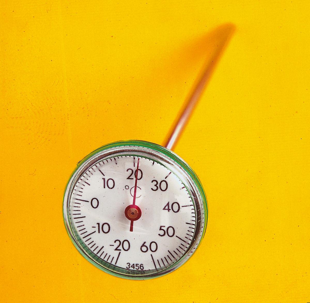 Erdthermometer Analog Witterungsbeständig - Silberfarben, Basics, Kunststoff/Metall (4/4/20cm)