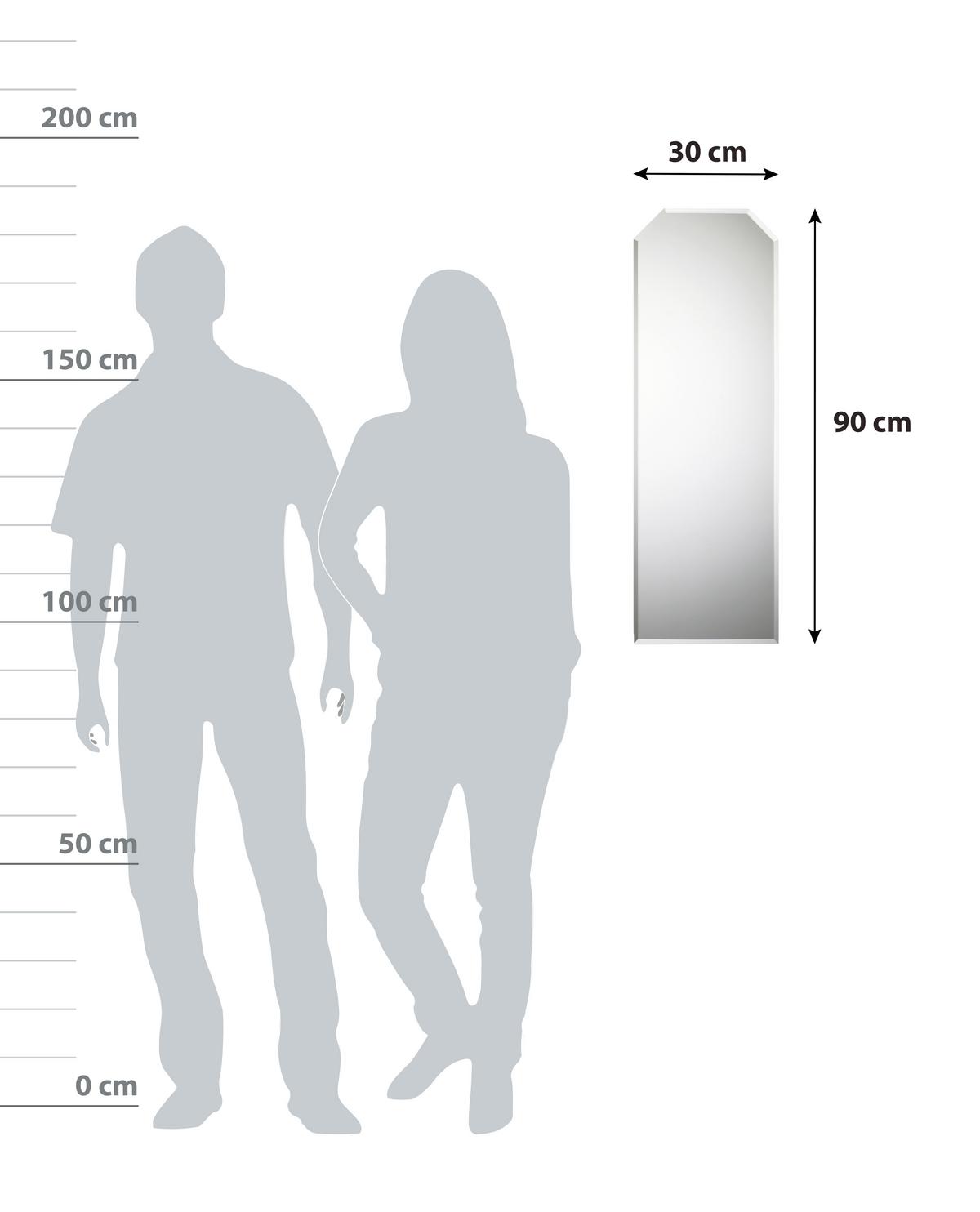 Wandspiegel Granat - MODERN, Glas (30/90/1cm)