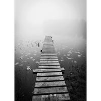 PLAKÁT VINCENT - vícebarevná, papír (50/70cm) - Modern Living